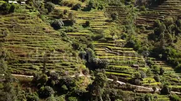 尼泊尔喜马拉雅山上典型的传统山村位于山坡上沿着徒步路径视频的预览图