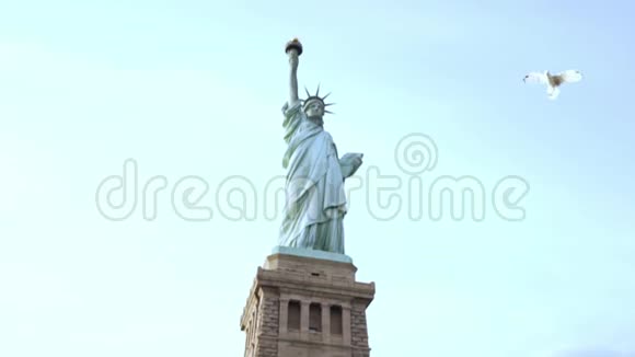 著名的自由女神像国家纪念碑在纽约自由岛在一个晴朗的夏天一只大鸟飞过视频的预览图