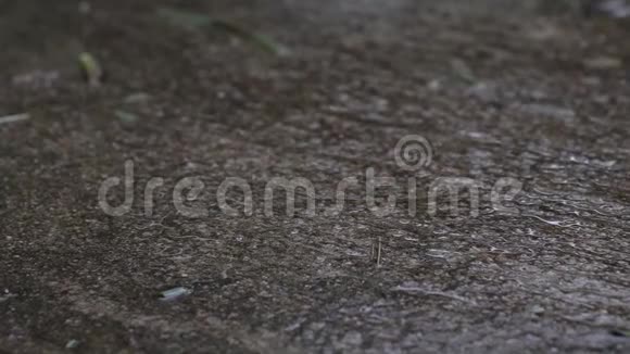 大雨的多利变焦效果击中灰色瓷砖地板在雨季给人一种孤独的心情看看雷的运动视频的预览图