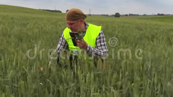 多风天气里的农民视频的预览图