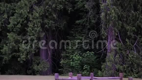 围栏牧场附近的黑暗森林视频的预览图