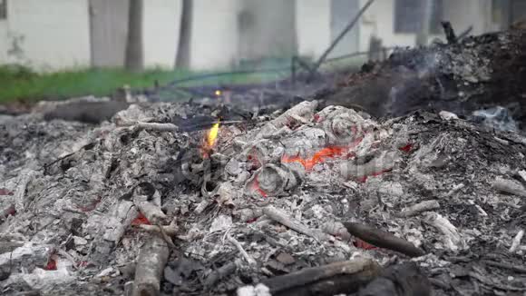 从树上烧一块木头燃烧但留下灰烬与燃烧的耀斑引起烟雾空气污染概念全球变暖视频的预览图