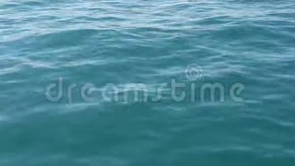 蓝色海面靠近水面软海浪蓝色深水蓝绿色海洋背景视频的预览图