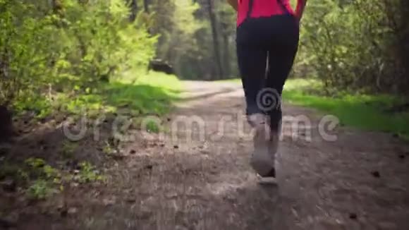 春天阳光明媚的森林里跑步的健身女子视频的预览图