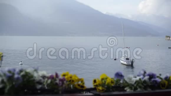 科莫湖的景色透过盛开的花朵视频的预览图