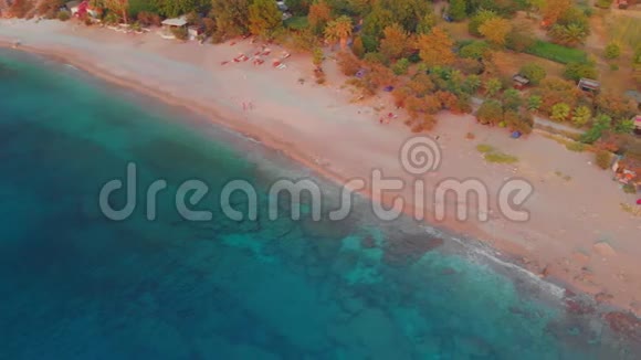 美丽的海滨沙滩和清澈的大海靠近海岸的森林视频的预览图