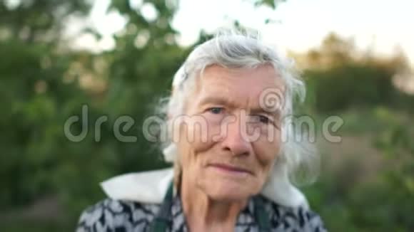 一个非常老女人的肖像画一个戴着围巾的白发退休妇女专注地看着相框奶奶是视频的预览图