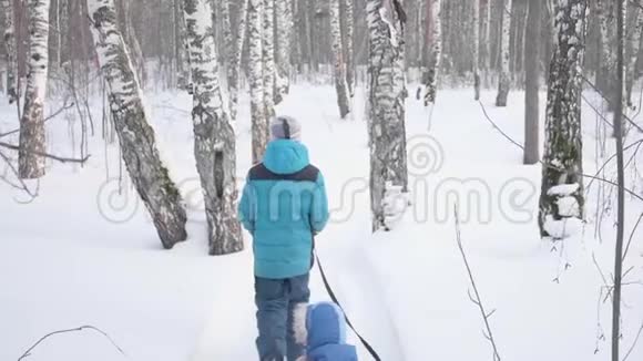 两个孩子在冬季公园散步坐雪橇户外活动和散步视频的预览图