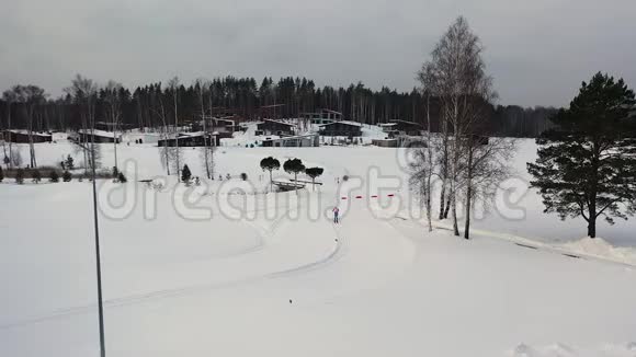 以松林灰色天空和滑雪道冬季运动游戏和健康生活方式为冬季景观提供空中服务视频的预览图