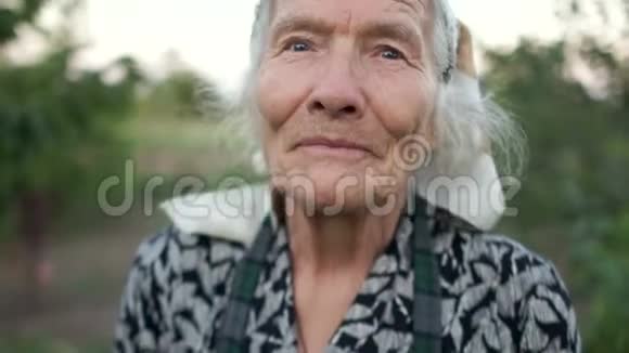 曾祖母看着镜框灰色的眼睛和灰色的头发深深的皱纹一个非常老的女人和善良的肖像视频的预览图