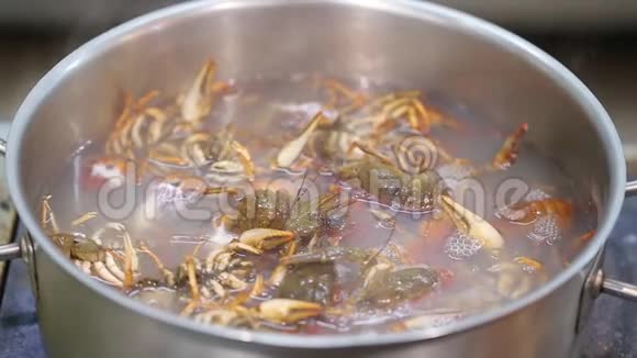 沸水中的小龙虾视频的预览图