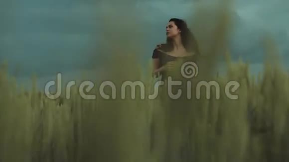 美丽的景色迷人的黑发女人穿着一件黑色的光肩连衣裙站在麦田里狂风大作视频的预览图