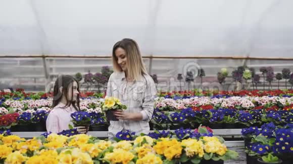 微笑的成人和年轻女孩在温室里看花盆视频的预览图