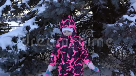 一个穿着粉红色工作服的快乐孩子在蓝杉旁边的肖像视频的预览图