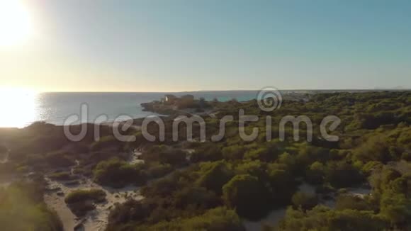 在海和蓝天的背景下的丛林海滩艺术美丽的海滩绿色的灌木和宁静的大海视频的预览图