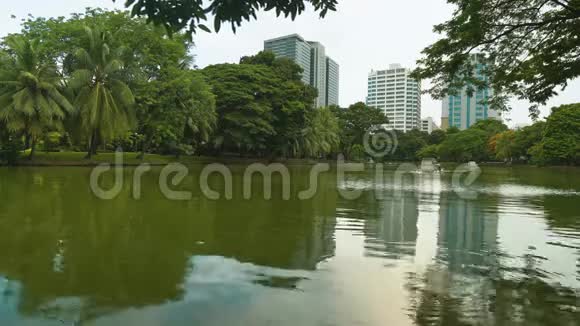 城市景观商业区的高层建筑矗立在一个带湖的公园的背景中城市风格视频的预览图