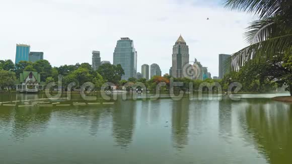 摩天大楼与公司办公室俯瞰绿色公园和湖在市中心视频的预览图