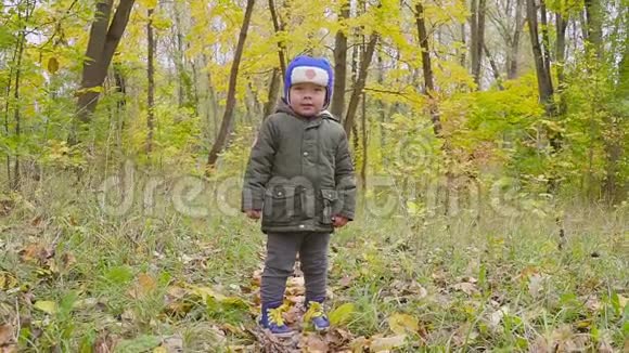 穿着绿色夹克的可爱男婴在秋天公园的落叶中奔跑视频的预览图