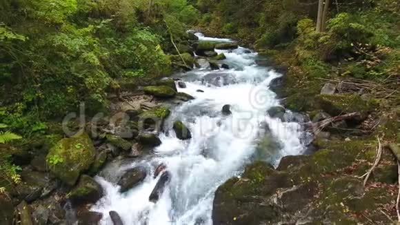 美丽的瀑布河在奥地利山区有许多淡水视频的预览图
