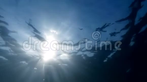 水下缓慢运动视频仰视来自海底的明亮阳光视频的预览图