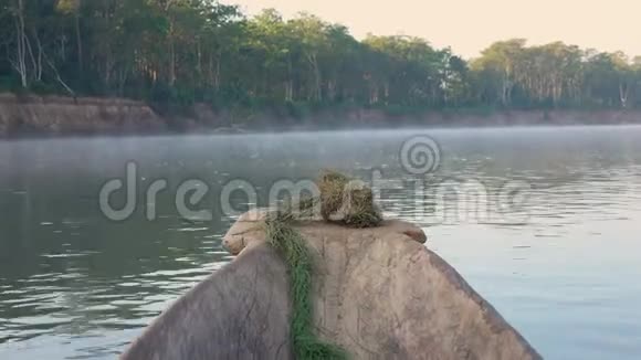 在尼泊尔奇特万国家公园的野生动物园之旅中沿着米斯特晨河骑独木舟视频的预览图