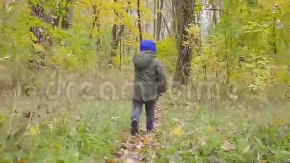 穿着绿色夹克的可爱男婴在秋天公园的落叶中奔跑视频的预览图