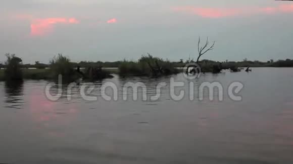奥科万戈河视频的预览图