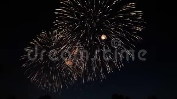抽象彩色烟火背景庆祝和周年纪念概念视频的预览图