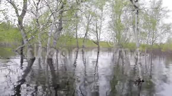 春季洪水期间从河上射击视频的预览图