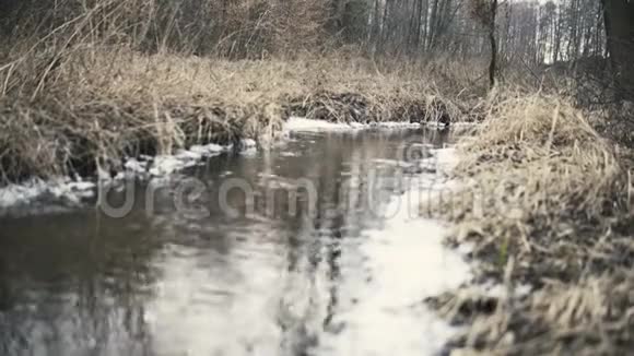 冬天结束时的小河视频的预览图
