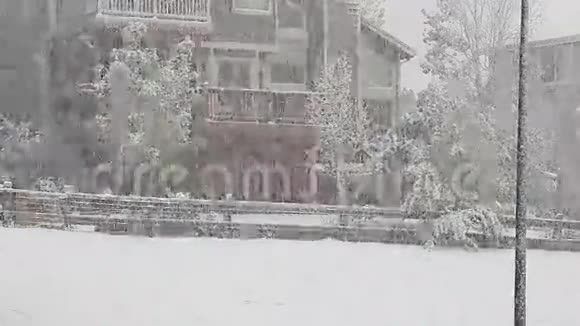 沉重的后院雪视频的预览图