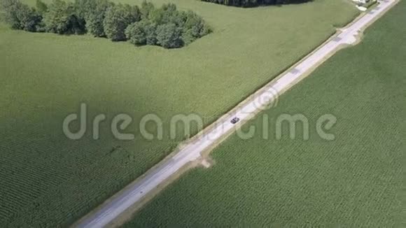 一辆黑色敞篷汽车沿着绿色田野之间的道路行驶的空中镜头视频的预览图