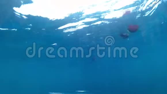 阳光明媚的一天海浪和救生圈在水下缓慢移动的视频视频的预览图