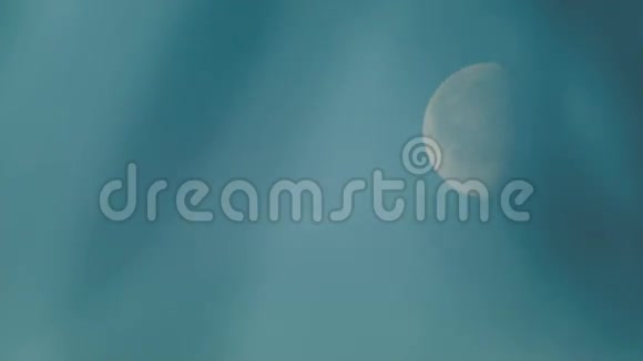 早晨的月亮视频的预览图