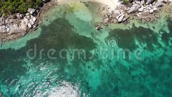 热带海滩上的真菌和绿色椰子棕榈在陶岛的沙滩上的小屋和浮潜度假胜地视频的预览图