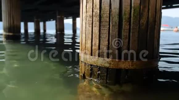 海上杂草丛生的旧木柱支墩4k特写镜头视频的预览图