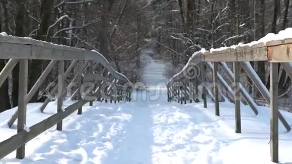 穿过公园冬天视频的预览图