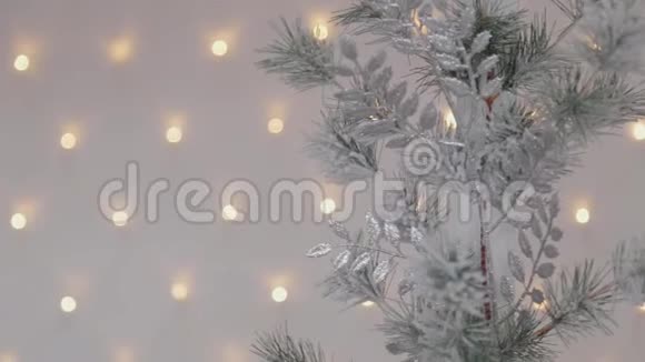 美丽的圣诞树2020年新年视频的预览图