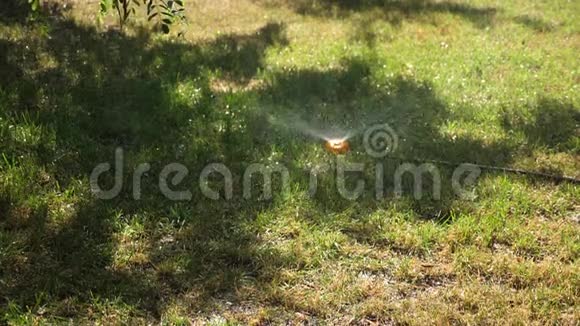 小水滴慢慢地落在青草上慢动作灌溉系统在草坪上喷水绿色视频的预览图
