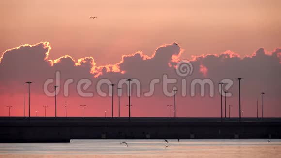 黎明时分有橙色天空有云和海鸥有码头入口视频的预览图