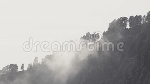 山坡上的树木上有雾视频的预览图