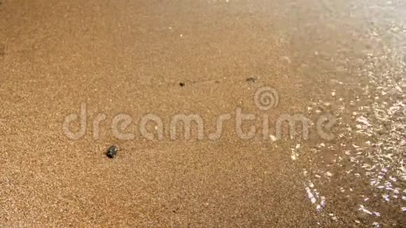 在阳光明媚的日子里海浪轻轻地在沙滩上流动视频的预览图