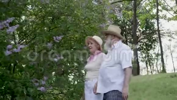 美丽的老年夫妇享受夏天的自然视频的预览图