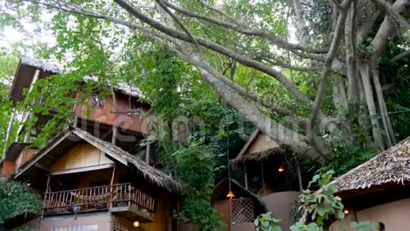 热带树附近可爱的小屋阳光明媚的一天美丽的小村庄坐落在令人惊叹的热带树木周围视频的预览图