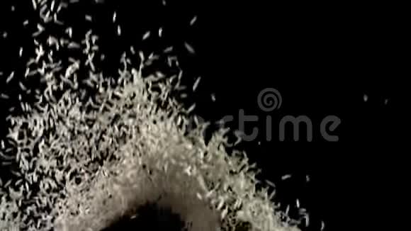 白色的米粒在黑色的背景上蹦蹦跳跳地落下视频的预览图