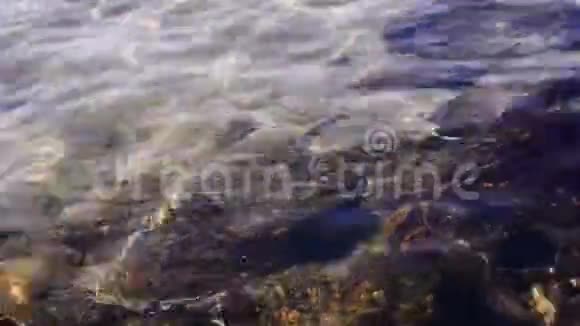 山湖里的干净水视频的预览图