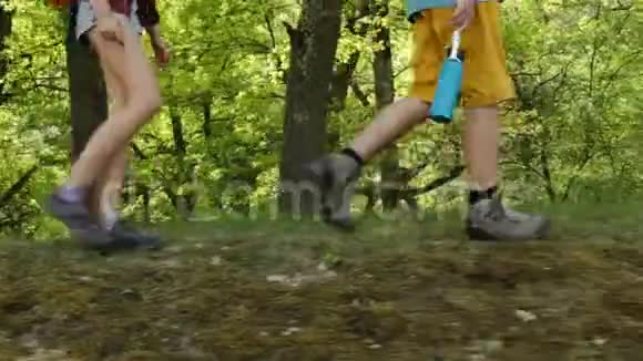 徒步旅行者走在森林边缘青少年和妇女的腿特写视频的预览图