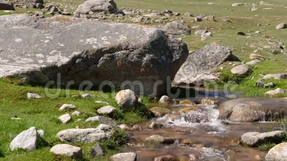 清澈的泉水在绿色草地上的石头上流淌近在咫尺视频的预览图