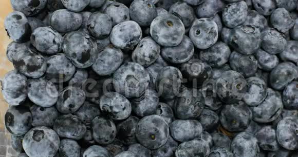 新鲜蓝莓水果的慢动作视频的预览图