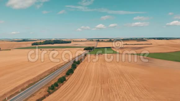 道路在小麦和黑麦的田野下蓝天和云彩空中观景视频的预览图